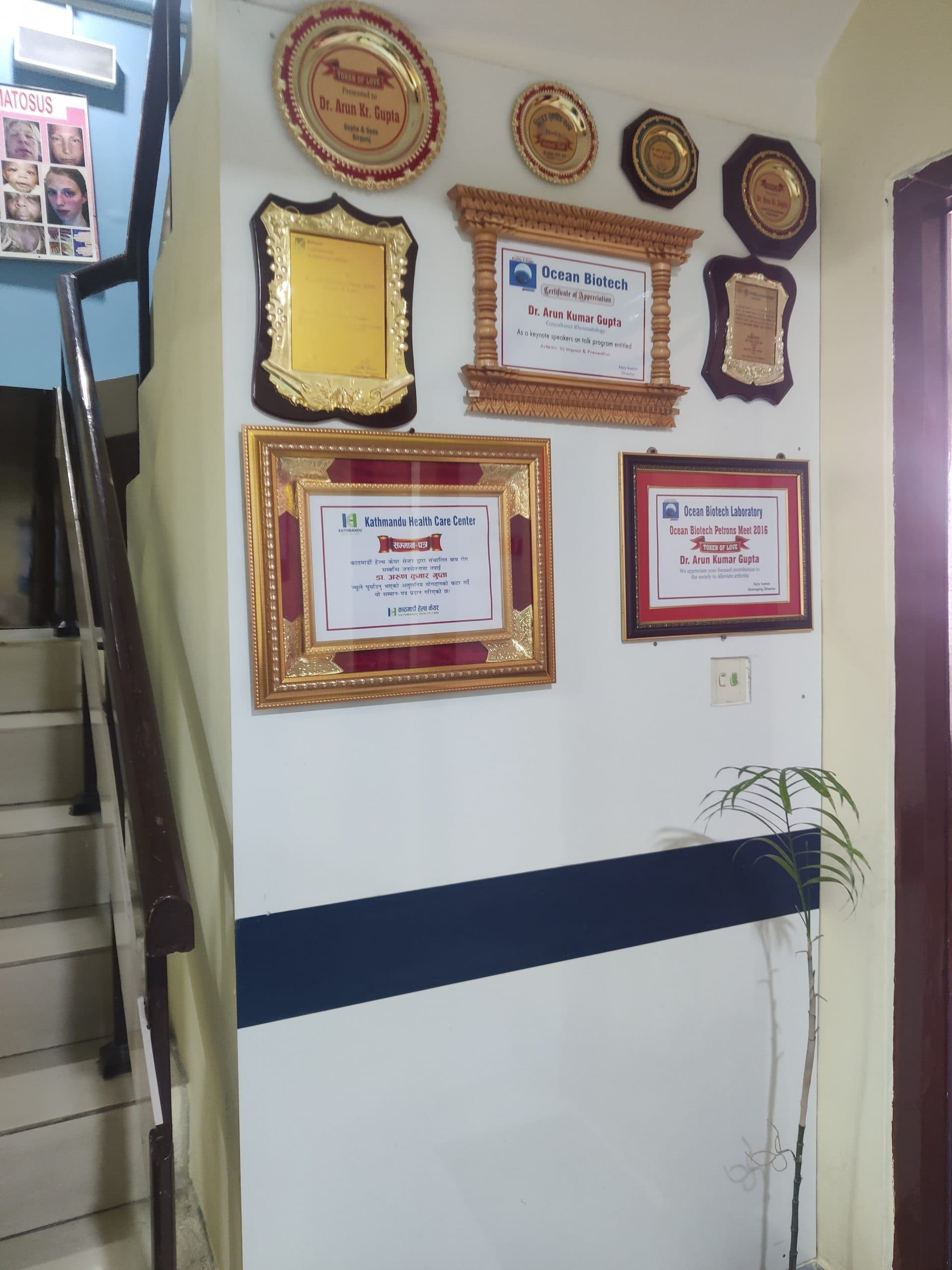 RAC Nepal gallery — photo 8